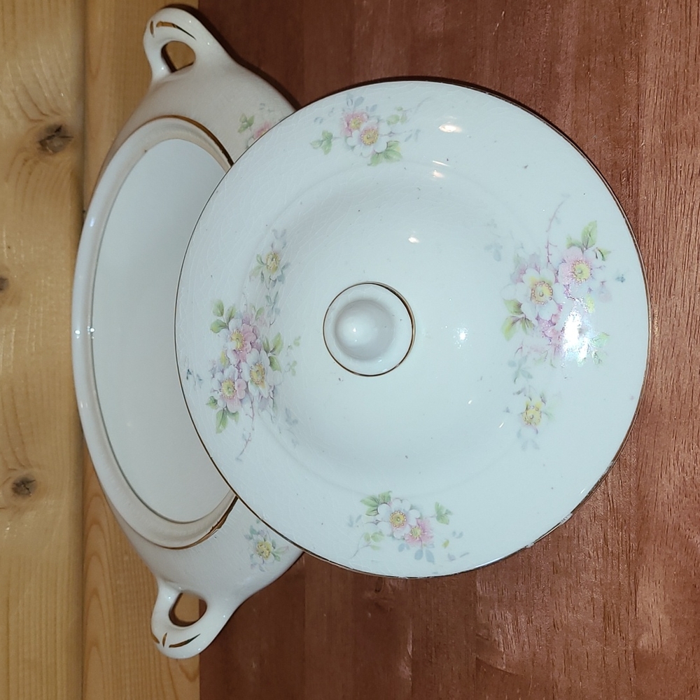 RARE Antique Hopewell China of VA Soup Tureen or Casserole Pink White Floral VTG
